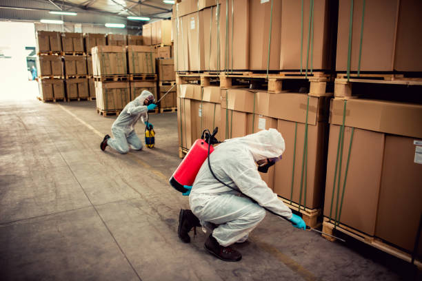 Best Pest Inspection Near Me  in Marion, SC