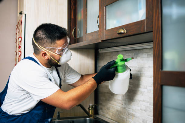 Best Cockroach Control Services  in Marion, SC