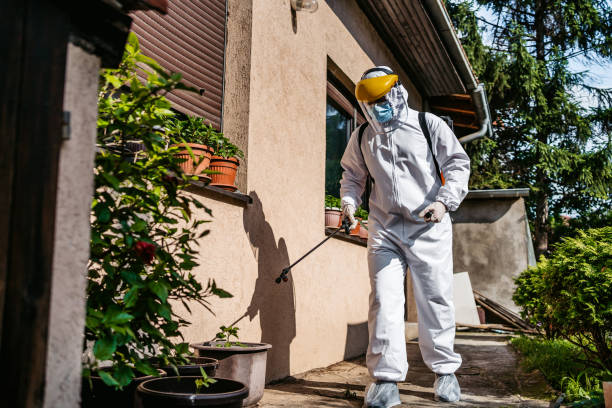 Best Affordable Pest Control Services  in Marion, SC