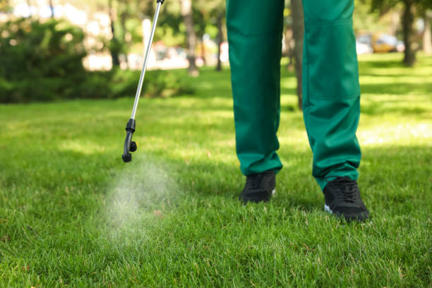 Professional Pest Control in Marion, SC