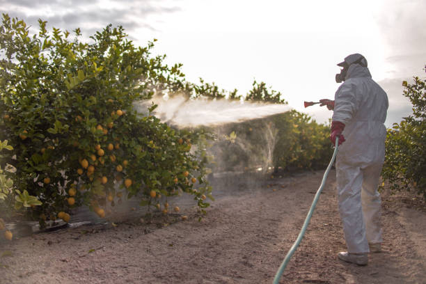 Best Best Pest Control Near Me  in Marion, SC