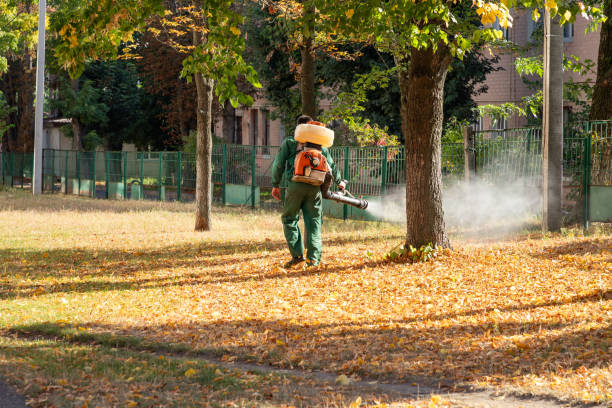 Best Mosquito Control Services  in Marion, SC
