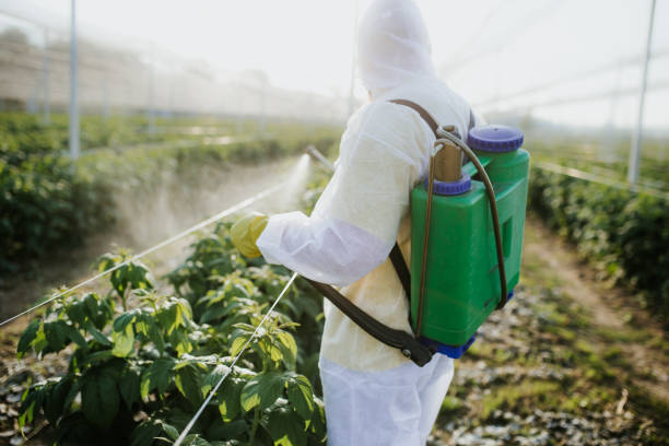 Best Wasp Removal Services  in Marion, SC
